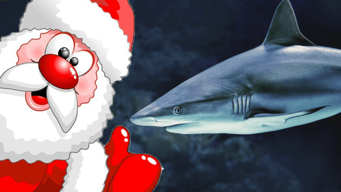 Атракціон у Ріо-де-Жанейро