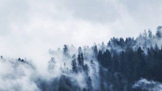 Негода у світі