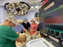 Дитині трансплантували печінку від посмертного донора