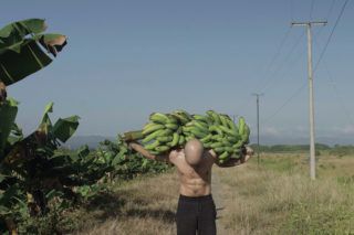 Онлайн-виставка Banana Craze