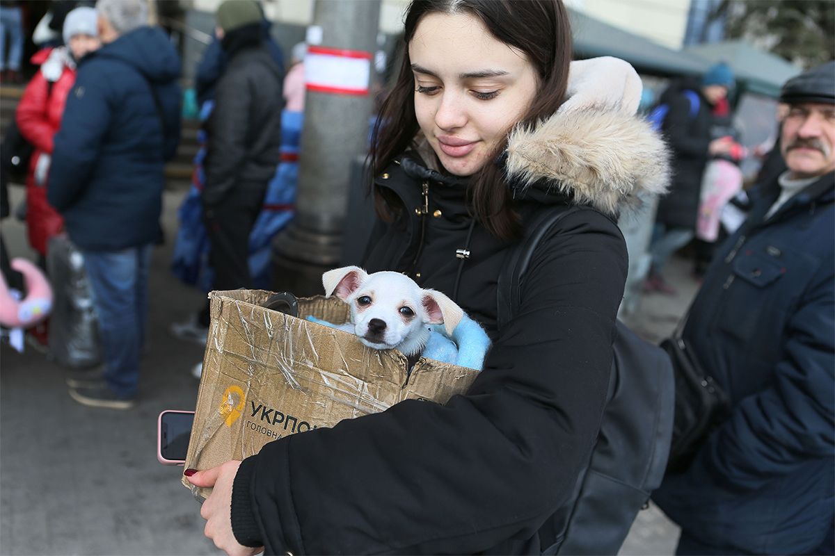 Сервіси для пошуку житла під час війни