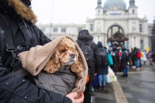 Евакуація з тваринами