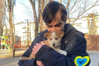 ЗооПатруль в Києві