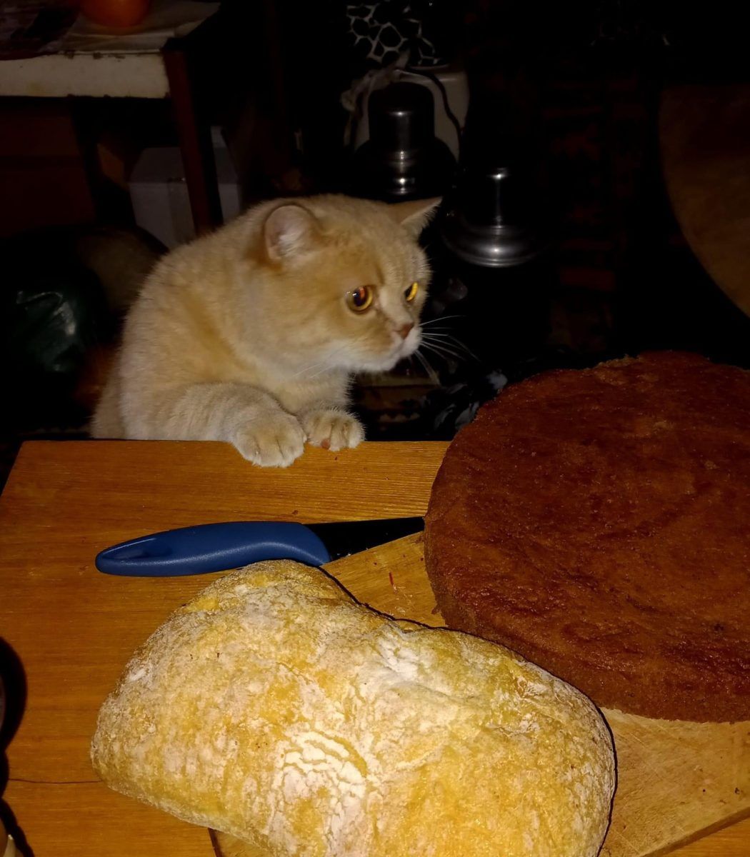 Воєнний щоденник Альони Загреби з Маріуполя