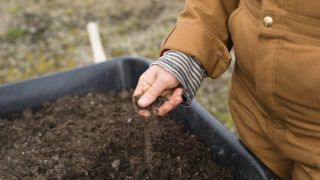 Як працюють аграрії на Запоріжжі