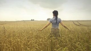 Посівна кампанія 2022: чи буде дефіцит продуктів