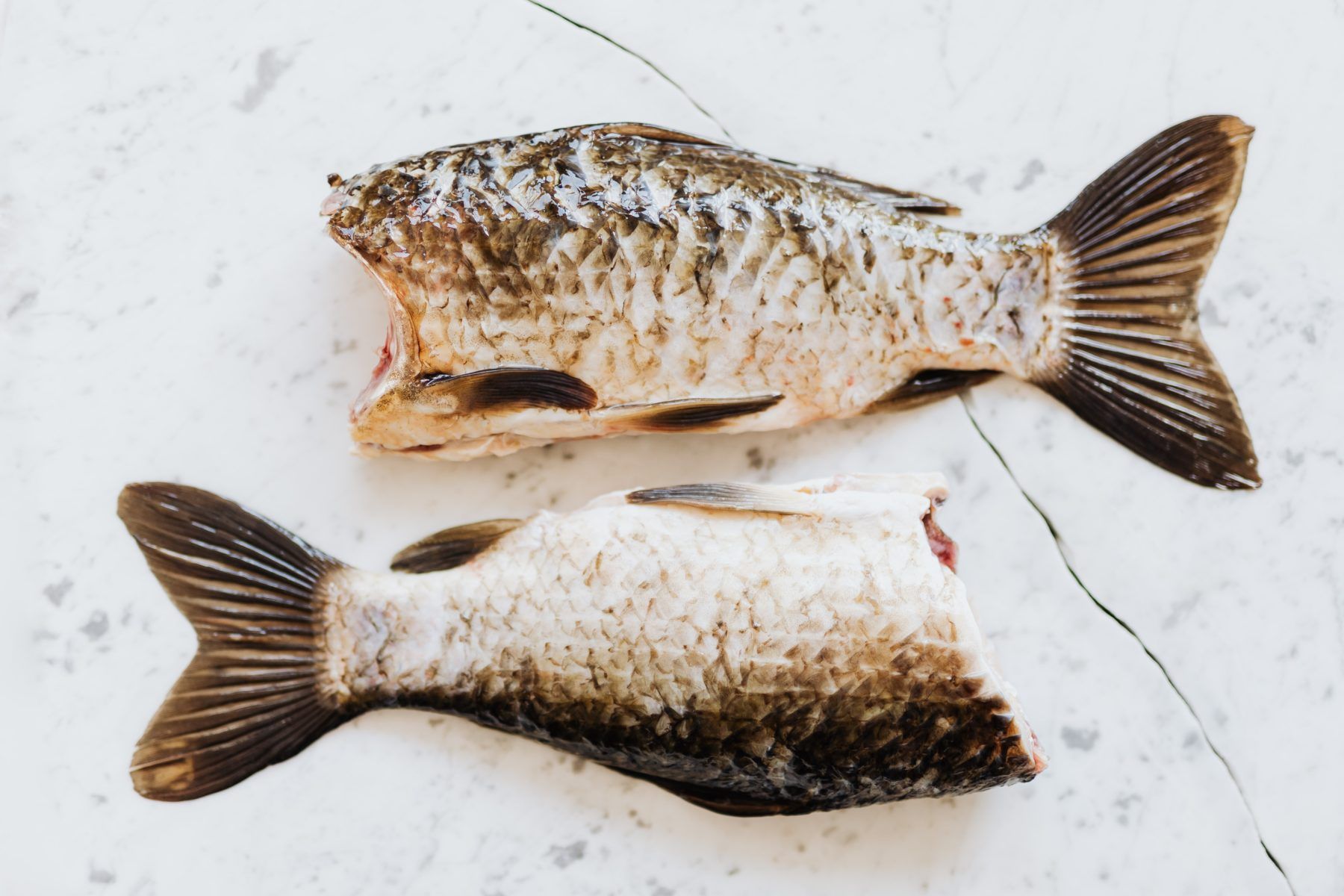 Рецепти пісної риби