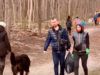 Прибирали сміття та обіймались: як українці влаштували толоку у Польщі на знак подяки