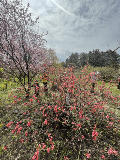 Фото 33 до: Чим живе ботанічний сад у Дніпрі