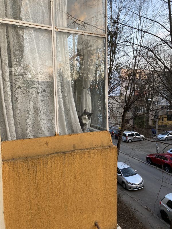 Фото к: Александра Каленюк и ее история переезда в Румынию во время войны