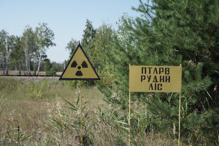 Рудий ліс навколо чорнобильської АЕС