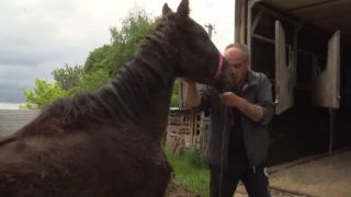 Руські Тишки: як військові евакуювали людей та тварин