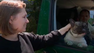 Бульдог Крафт