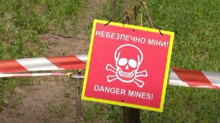Як працюють вибухотехніки під час війни