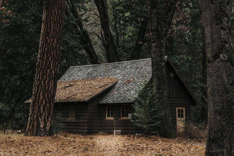 Фото до: Де найчастіше використовують портативну зарядну станцію