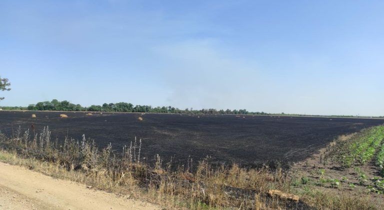 Херсон - ситуація в області