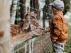 Николаевский зоопарк: финансирования не хватает даже на корм — как помочь животным