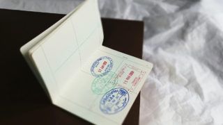 Цифрове посвідчення для українських біженців у Польщі