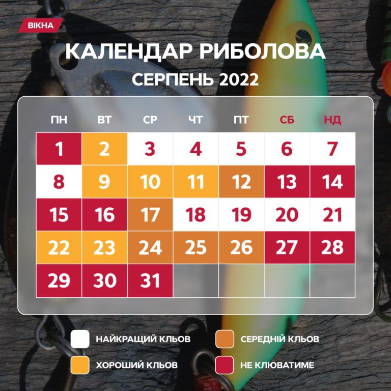 Місячний календар риболовлі на серпень 2022 - коли клюватиме риба