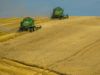 Окупанти вдаються до продовольчого тероризму! Аграрії руками вибирають скло із зерна