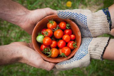 ціни на продукти
