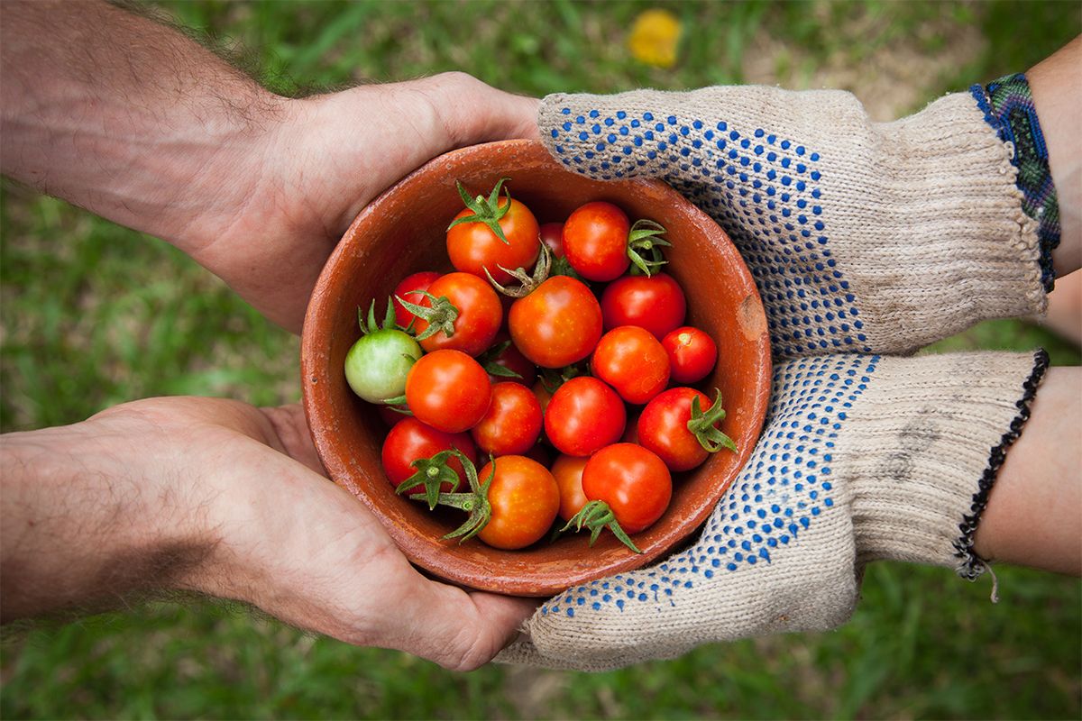 ціни на продукти
