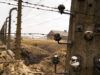 Конвоїри говорили, що ніхто нікуди вже не вийде: історія полоненої волонтерки з Оленівки