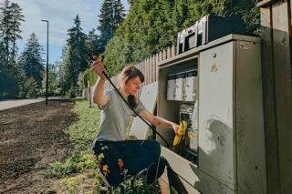 робота без досвіду