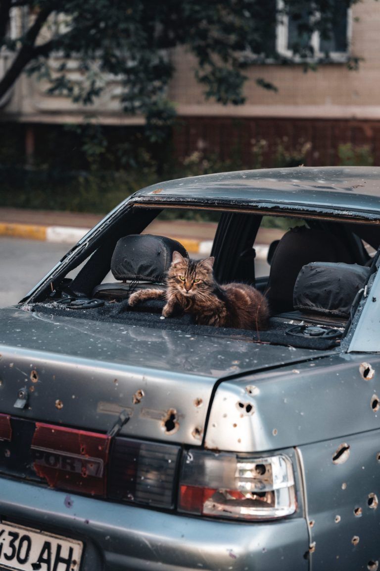 А потом пришли братья