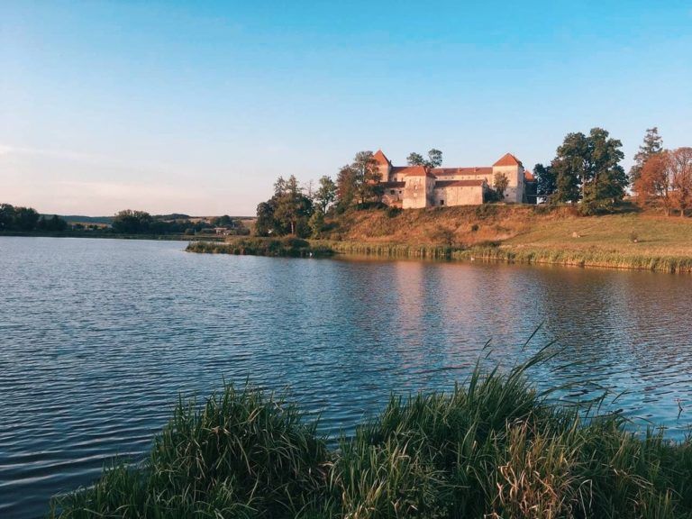 Свірзький замок