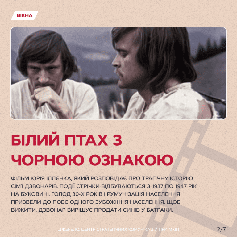 Фото до: Білий птах з чорною ознакою