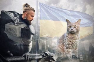 Притулок для котів – Бородата котомамуля – як допомогти