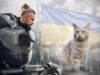 Спасал кошек из-под завалов, а затем сделал приют в собственном доме! История актера и зоозащитника Алексея Суровцева