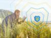 Поддержи Украину — читай украинское: подборка книг от наших авторов ко Дню Независимости