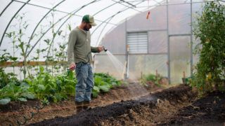 Українські фермери можуть отримати гранти до 10 млн грн - деталі