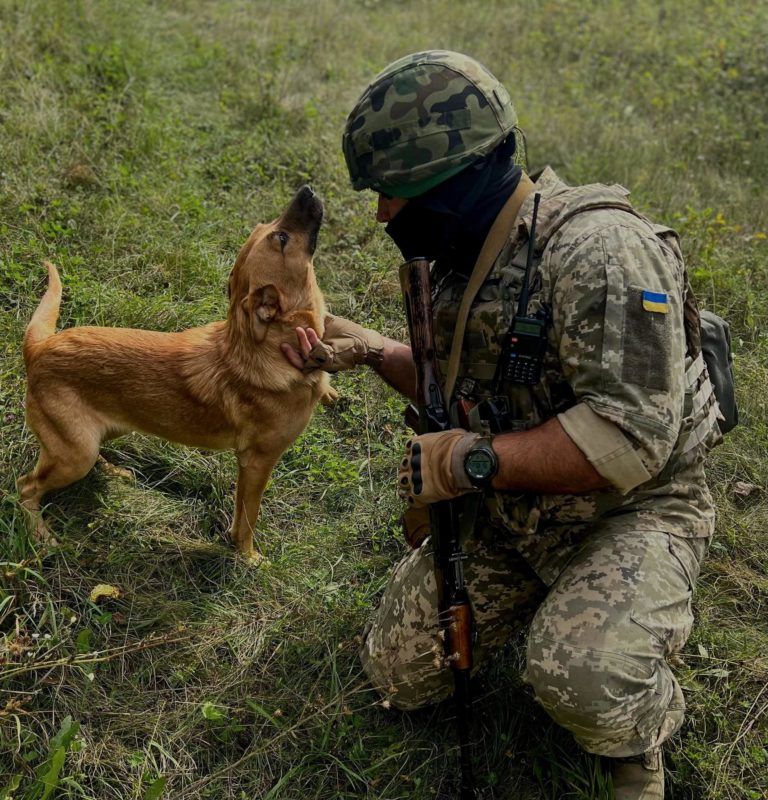 Наталя Гуменюк про війну