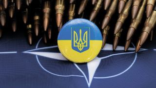 Вступ України до НАТО: чи підтримає альянс швидку процедуру