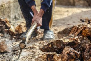 Армія відновлення України
