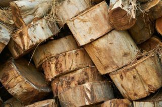 Як отримати дрова безкоштовно від держави — інструкція