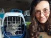 Жить на линии фронта опасно как людям, так и животным: как UAnimals эвакуировала 27 кошек из Бахмута