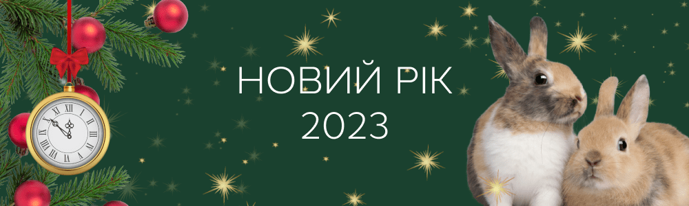 Новий рік
