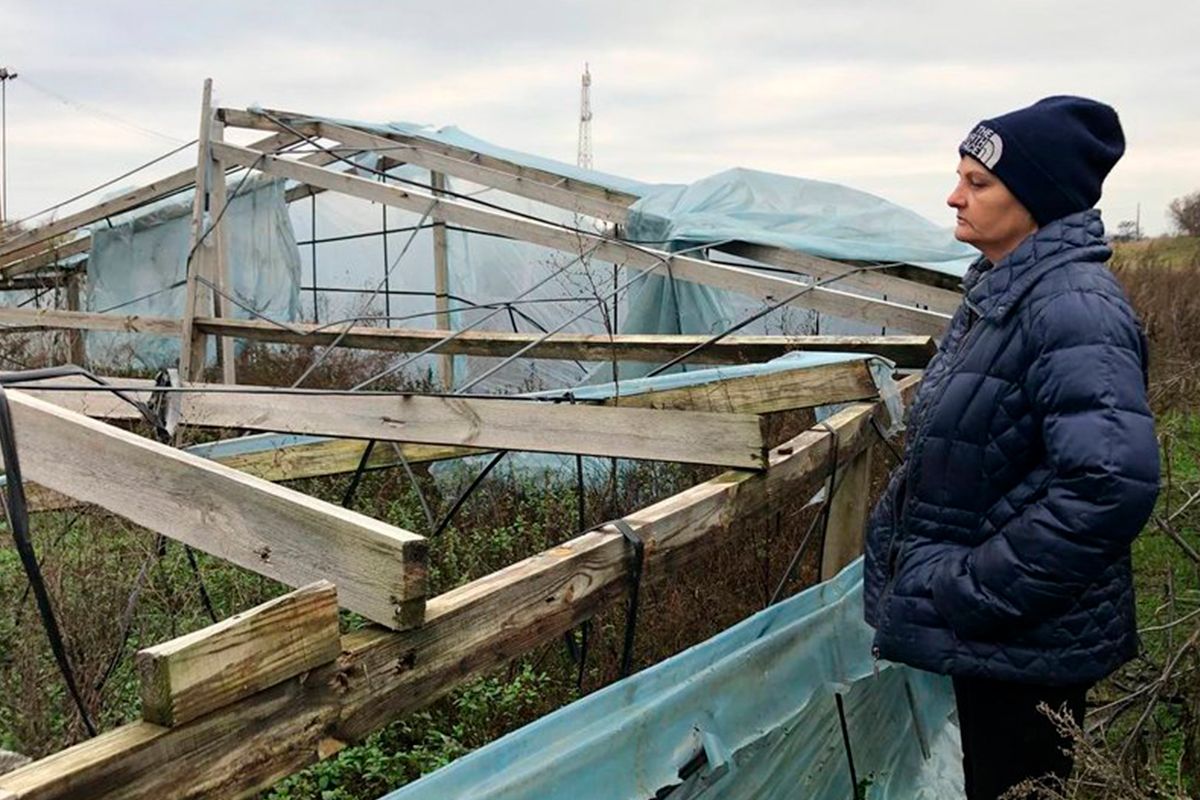Історія родини з Херсонщини