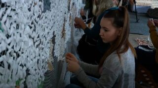 Франківські феї