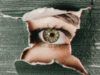 Восстановить зрение после тяжелого ранения — возможно! Как работает единственный в Украине банк роговицы