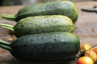 Кабачки