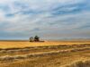 Працюють, ризикуючи життям. Херсонські фермери самостійно розмінували половину полів і вийшли на посівну
