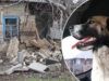 Четырехлапые Красногоровки: как Белые ангелы спасают животных из-под обстрелов
