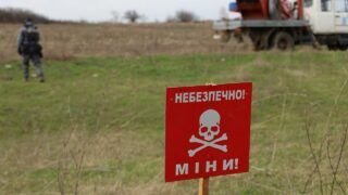 Висаджують овочі поряд із мінами: ситуація з розмінуванням Харківщини