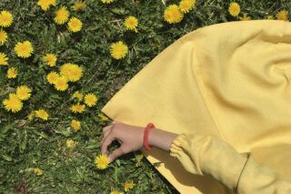 Лікувальні властивості кульбаби