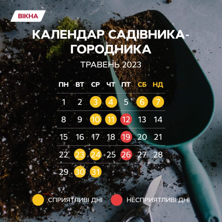 місячний календар